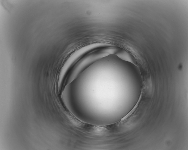 X0000092010333200709131540