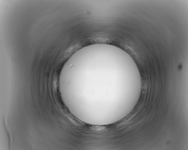 X0000092010334200709131540