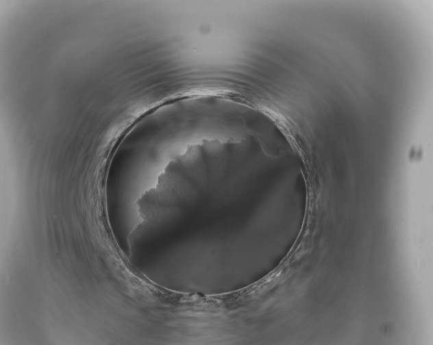 X0000092010337200709131539
