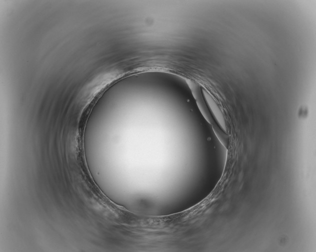X0000092010338200709131539