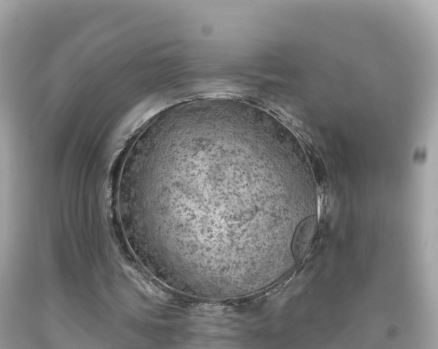 X0000092010339200709131539