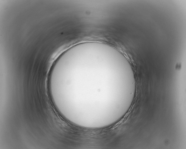 X0000092010340200709131539