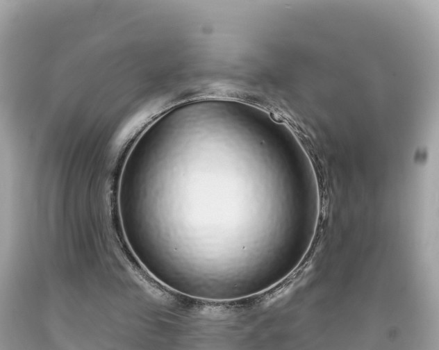 X0000092010341200709131539