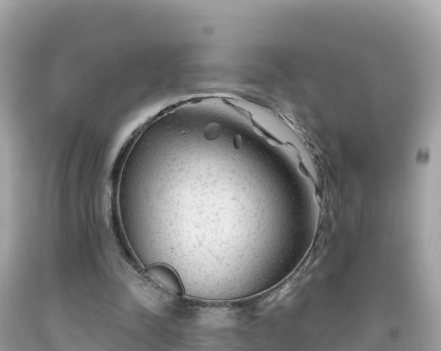 X0000092010342200709131539