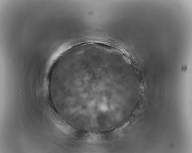 X0000092010343200709131539