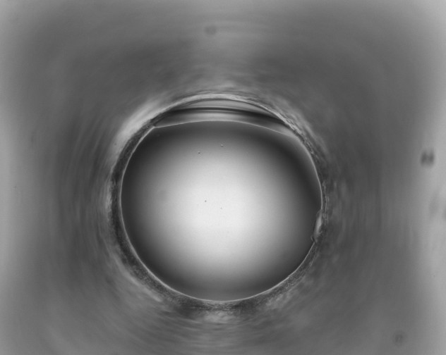 X0000092010344200709131539