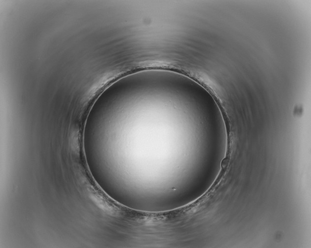X0000092010345200709131539