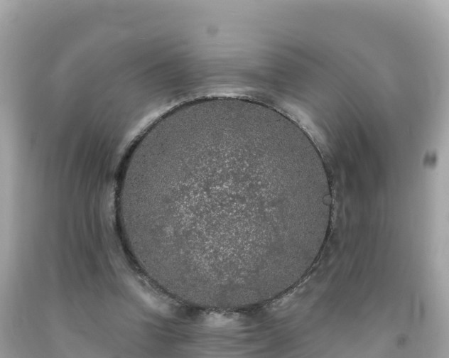 X0000092010346200709131539