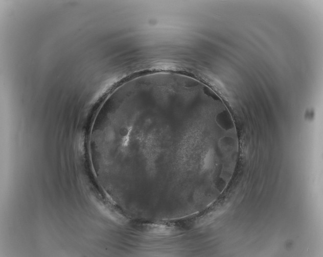 X0000092010347200709131539