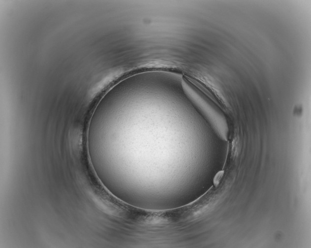 X0000092010348200709131539