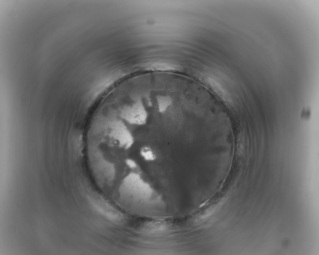 X0000092010351200709131539