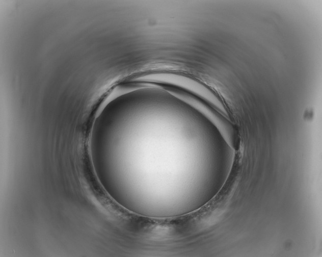 X0000092010352200709131539