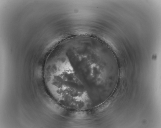 X0000092010353200709131539
