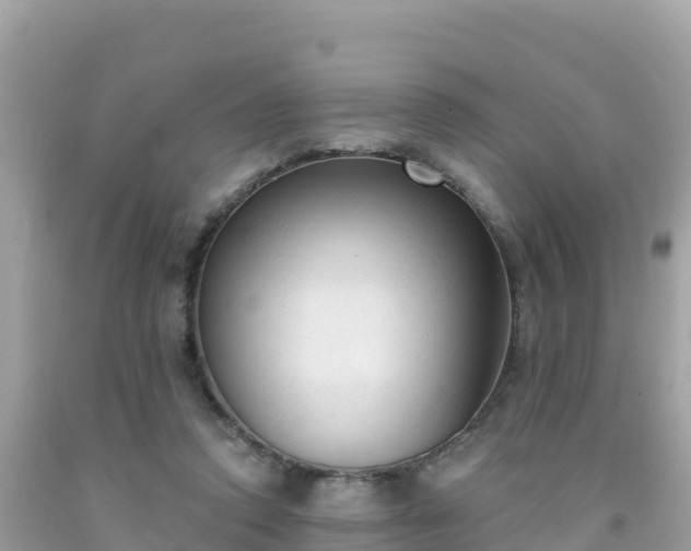 X0000092010354200709131539