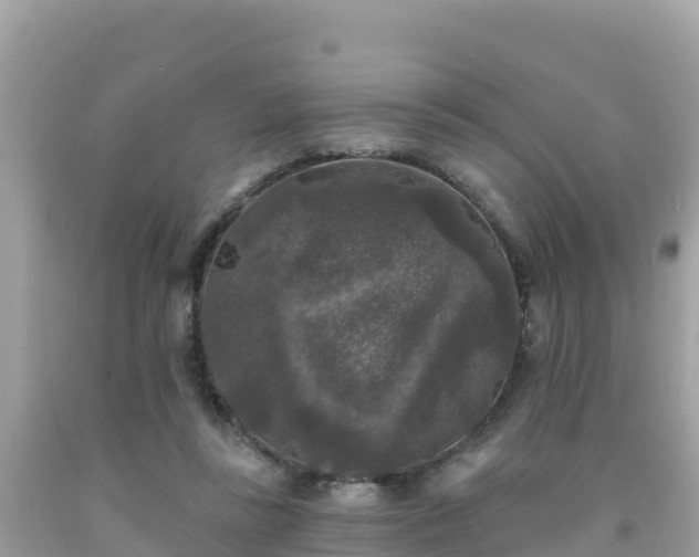 X0000092010355200709131539