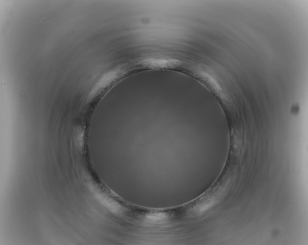 X0000092010357200709131539