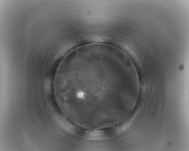 X0000092010359200709131540