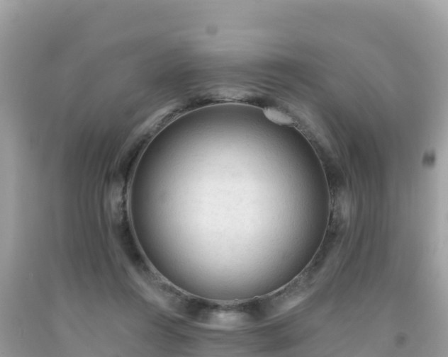 X0000092010360200709131540