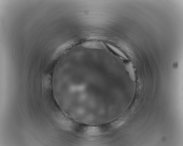 X0000092010361200709131540
