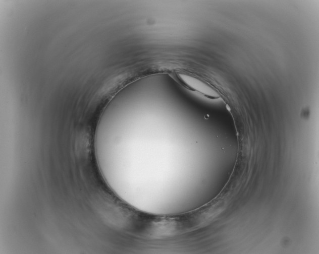 X0000092010362200709131540