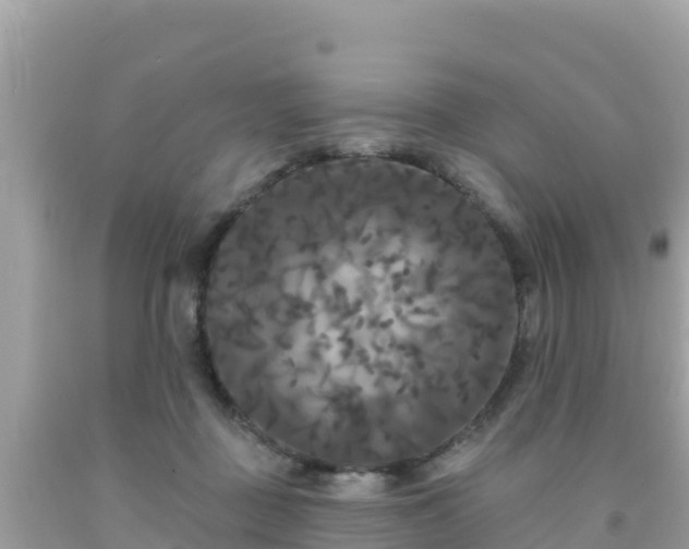 X0000092010363200709131540