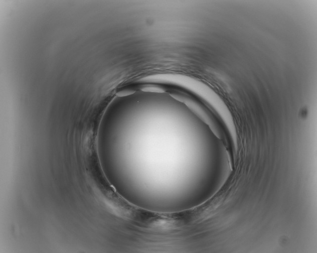 X0000092010364200709131540