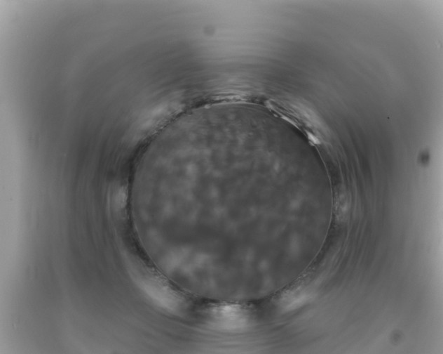 X0000092010365200709131540