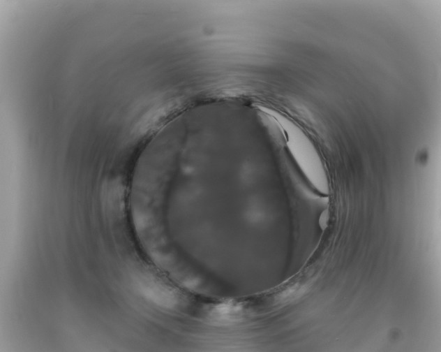 X0000092010366200709131540