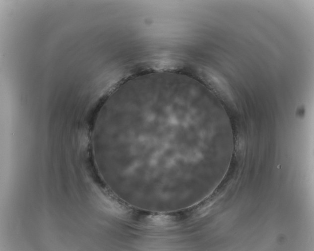 X0000092010367200709131540