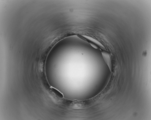 X0000092010368200709131540