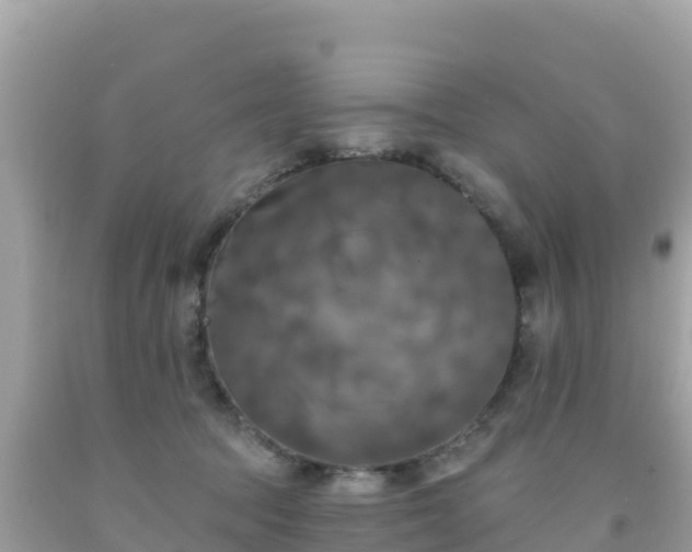 X0000092010369200709131540
