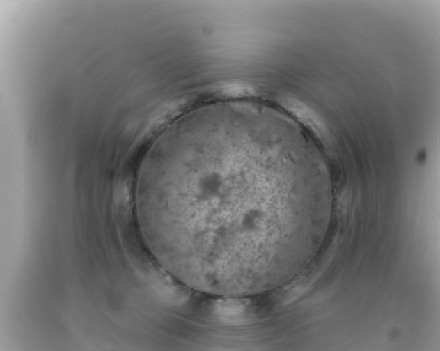 X0000092010373200709131540