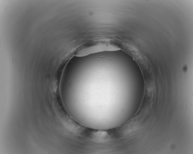 X0000092010374200709131540