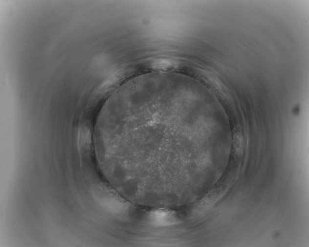X0000092010375200709131540