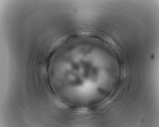 X0000092010377200709131540