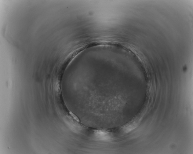 X0000092010380200709131540