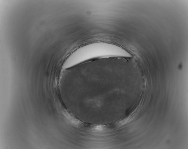 X0000092010382200709131540