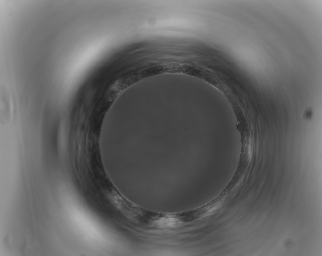 X0000092010383200709131540