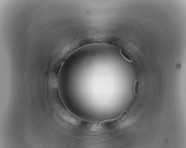X0000092010384200709131540