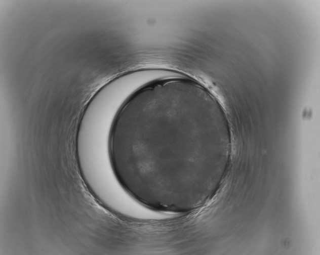 X0000092010385200709131539