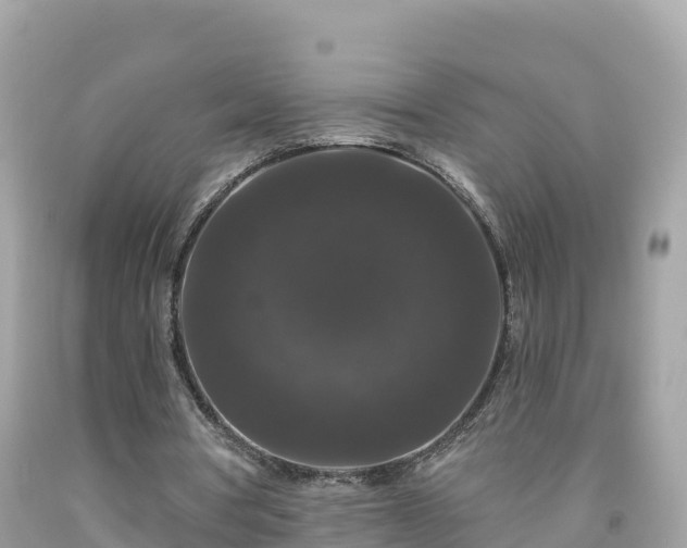 X0000092010386200709131539