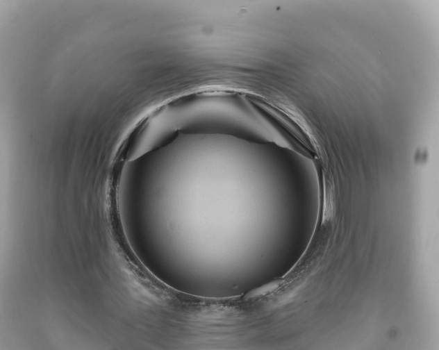 X0000092010387200709131539
