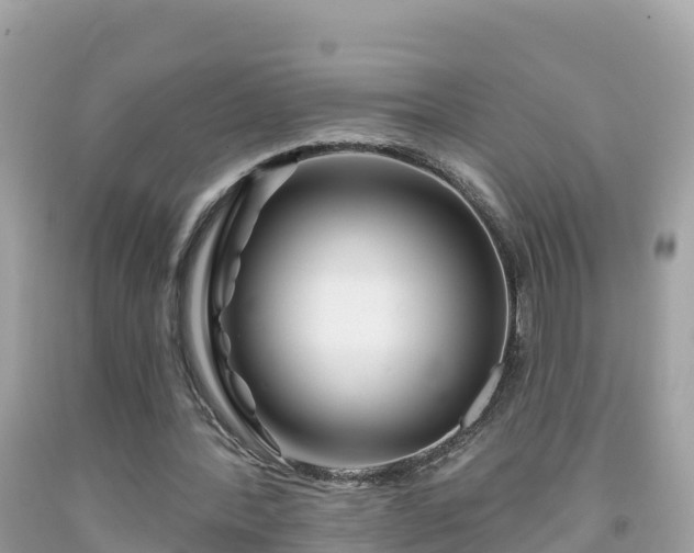 X0000092010388200709131539