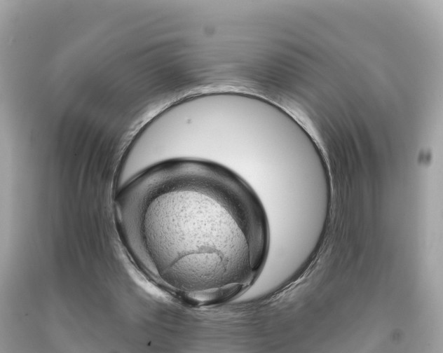 X0000092010389200709131539