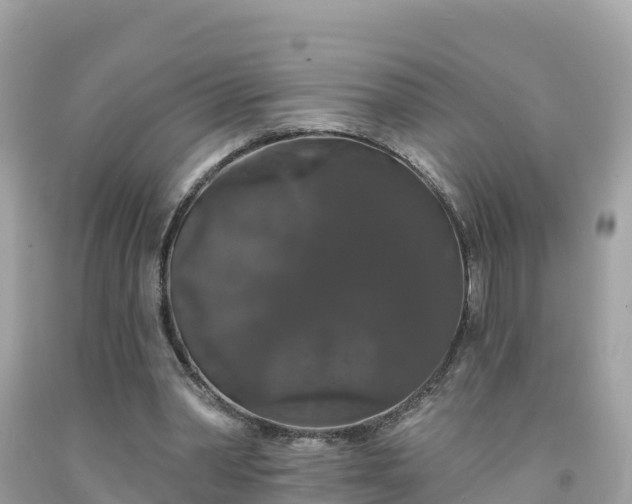 X0000092010390200709131539