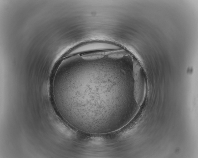 X0000092010391200709131539