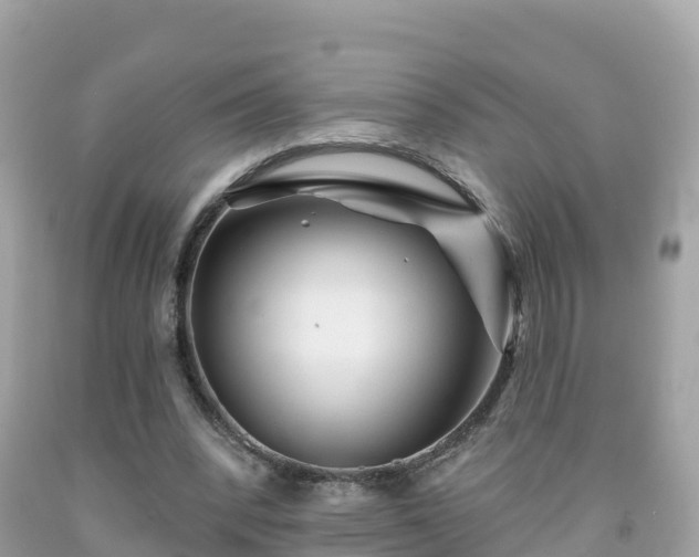X0000092010392200709131539