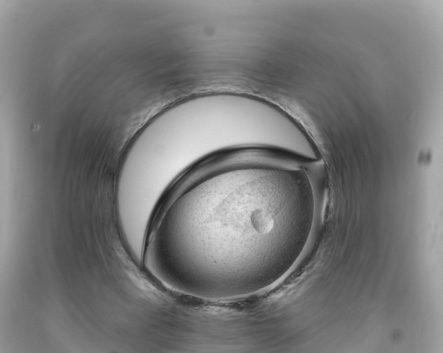 X0000092010393200709131539