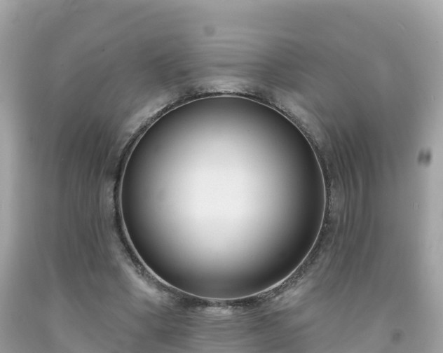 X0000092010394200709131539