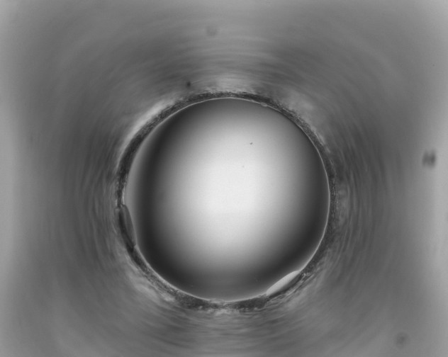 X0000092010395200709131539